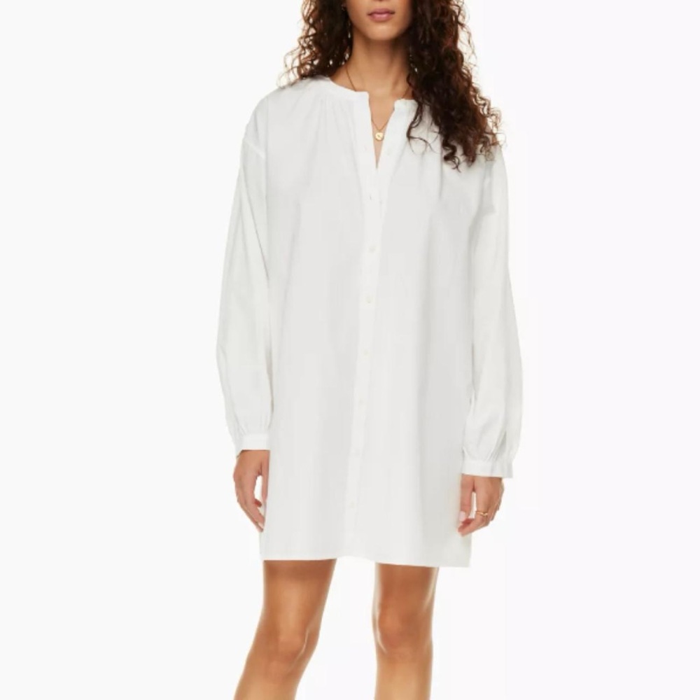 Aritzia Tanaro Poplin Dress